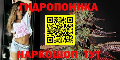 амфетамин Гай