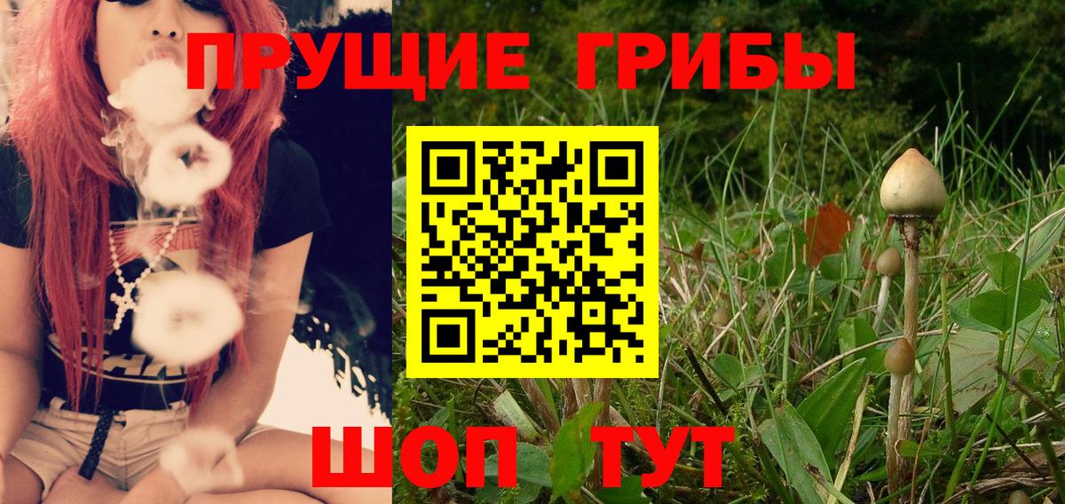 Псилоцибиновые грибы Psilocybe  что такое наркотик  Галлюциногенные грибы Cubensis  Бахчисарай  Вход с VPN 