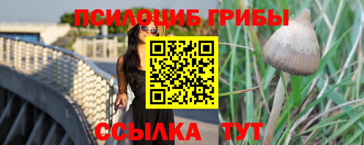 Галлюциногенные грибы мицелий Бахчисарай